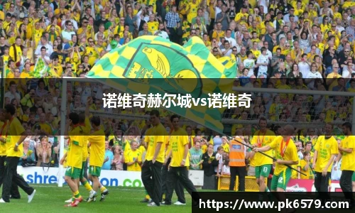 诺维奇赫尔城vs诺维奇