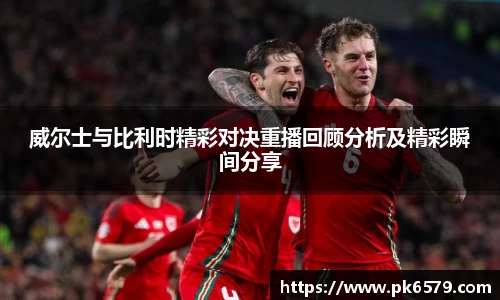 威尔士与比利时精彩对决重播回顾分析及精彩瞬间分享